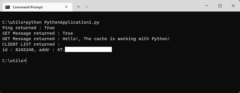 Screenshot of a terminal showing a Python script to test cache access.