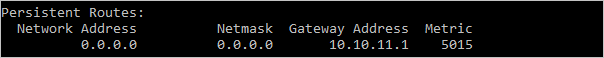 The added route is shown as a Persistent Route with Gateway Address 10.10.11.1 and Metric 5015.