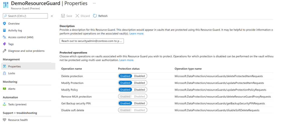 Screenshot showing demo resource guard properties.