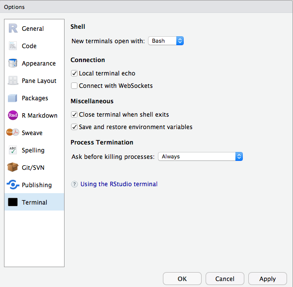 RStudio Session