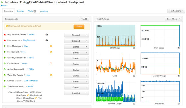 Apache Ambari host details overview.