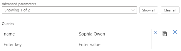 Screenshot shows function information pane with Queries parameter and example key-value inputs.