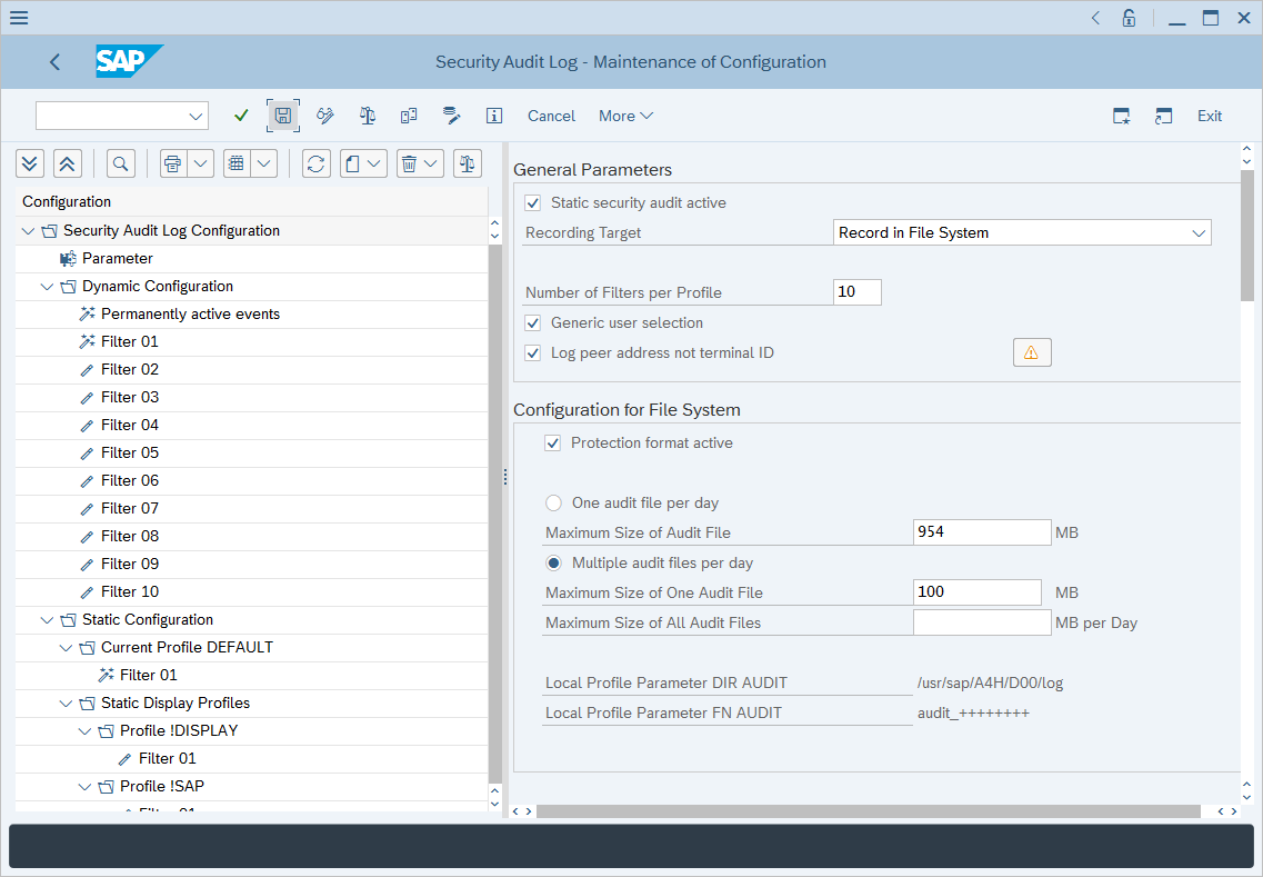 Screenshot showing R S A U CONFIG parameters.