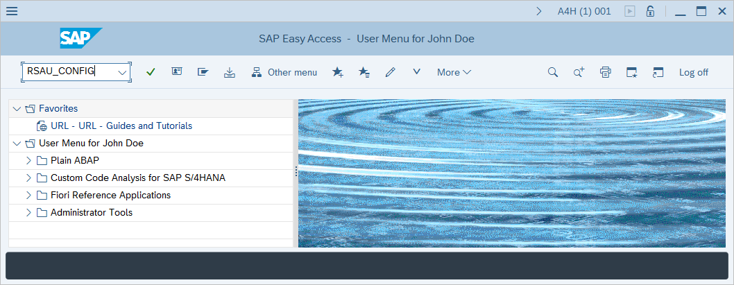 Screenshot showing how to run the R S A U CONFIG transaction.