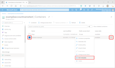 Screenshot showing how to access container metadata within the Azure portal.