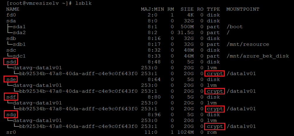 Screenshot showing alternative code that identifies encrypted disks. The results are highlighted.