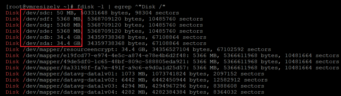 Screenshot showing the code that checks the size of the disks. The result is highlighted.