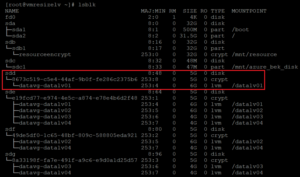 Screenshot showing the code that verifies that the LVM layer is on top of the encrypted layer. The result is highlighted.