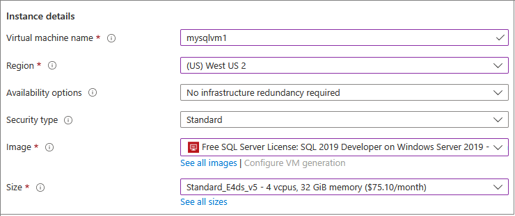 Azure 门户的屏幕截图，新 SQL VM 的实例详细信息。