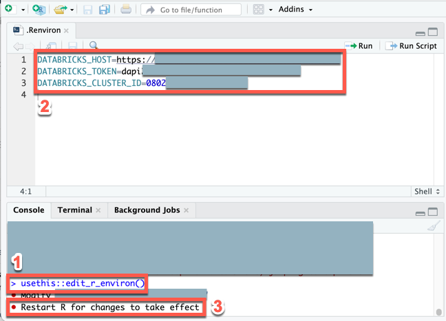 设置 Databricks Connect 的环境变量