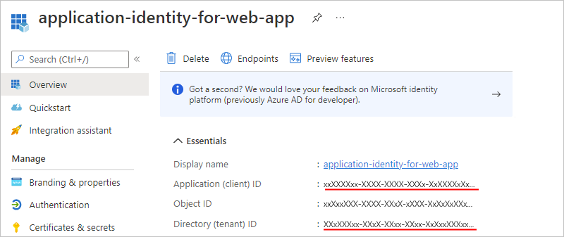 Screenshot showing application identity's 'Overview' pane open with 'Application (client) ID' value and 'Directory (tenant) ID' value underlined.