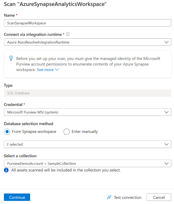 Azure Synapse 源扫描的详细信息窗格的屏幕截图。